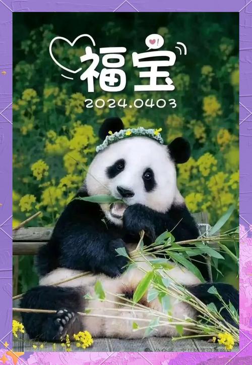 下载中心 第171页