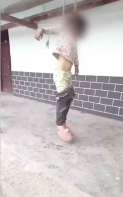 下载中心 第49页