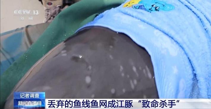 澳彩77749.cσm查询开奖和保护区里的疯狂垂钓与保护区里的疯狂垂钓是什么