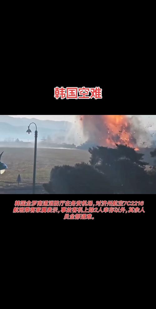 新奥精准数据免费开放和韩国发生飞机坠毁与韩国发生飞机坠毁事件