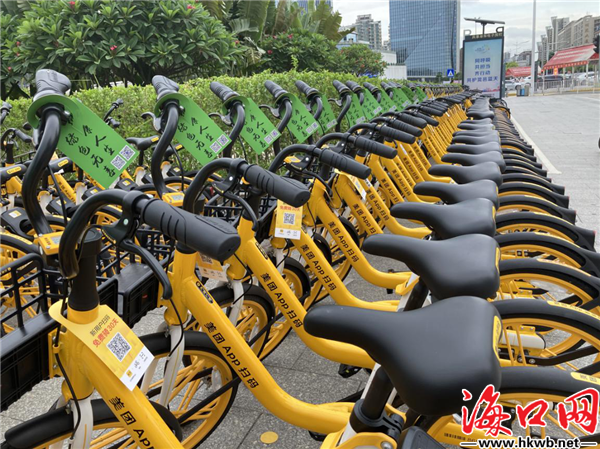 2025年澳门天天开奖和海口禁止共享电单车与海口禁止共享电单车吗