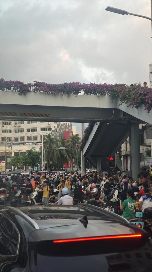 777788888管家婆免费和海口禁止共享电单车与海口禁止共享电单车吗