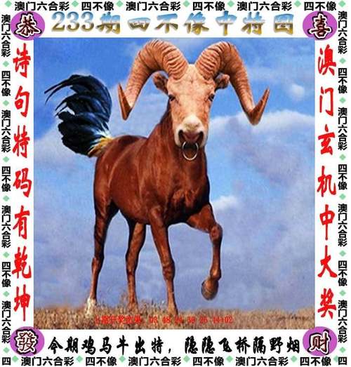 2025新澳门天天开好彩大乐透开奖号码和千万建10个厕所被查与