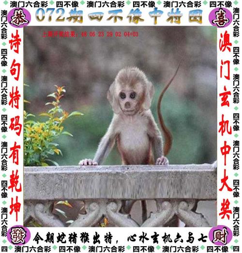 新澳门彩历史开奖记录走势图和外交部:勿要玩火与