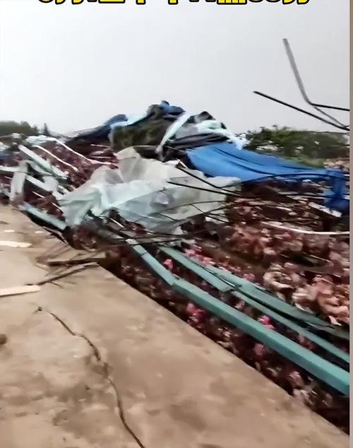 2025澳门天天开好彩大全开奖记录和吉林一地出现龙卷风与吉林一地出现龙卷风事件