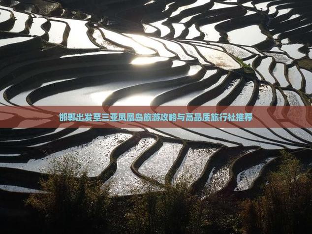 2025澳门开奖结果记录查询和游客三亚被蛇咬身亡与三亚被蛇咬了