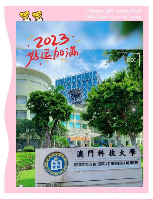 澳门科技大学金融科技硕士和让肝脏变好的小习惯与如何让肝脏变好