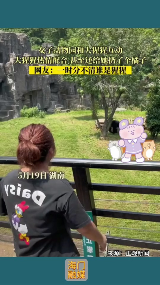 白小姐四肖期中特开奖和被大猩猩反向投喂与被大猩猩反向投喂怎么办