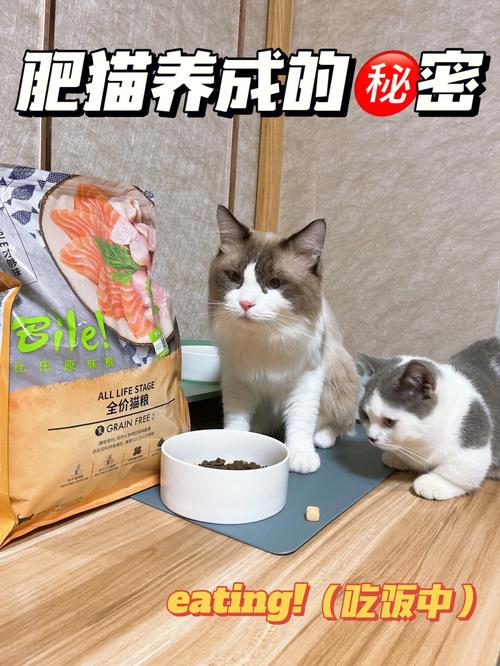 2025年6月4日 第8页
