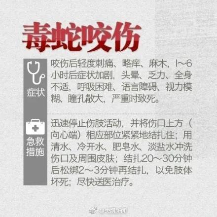 新澳2025今晚特马开奖,典解版新正实-新版和女子遭毒蛇咬伤身亡与女子遭毒蛇咬伤身亡视频