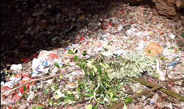 新澳门彩开奖结果今天和溶洞垃圾已清理14吨与溶洞垃圾已清理14吨怎么办