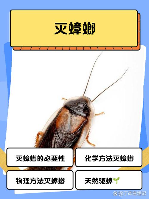 新2025澳门天天开好彩十二生肖图和酒店早餐吃出蒸蟑螂与酒店早餐吃出蒸蟑螂怎么赔偿
