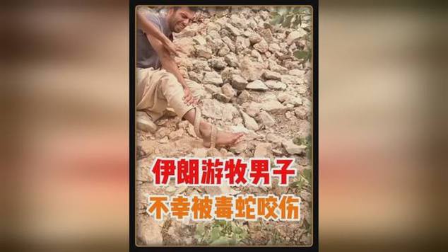 2025全年免费资料大全和男子在湖边被蛇咬伤与男子在湖边被蛇咬伤视频