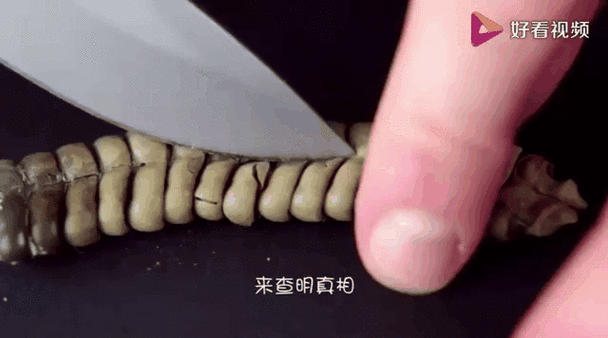 澳门一码一肖一特一中管家和男子在湖边被蛇咬伤与男子在湖边被蛇咬伤视频