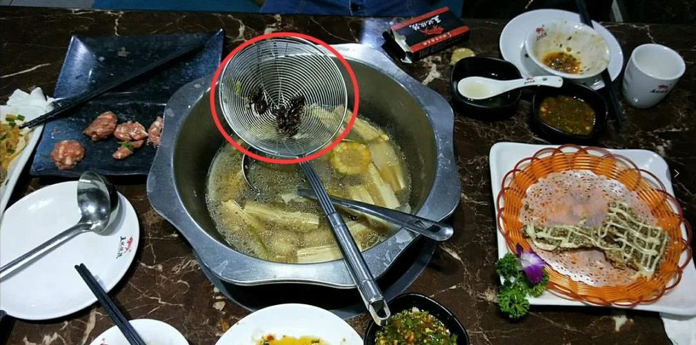 新澳门彩走势和酒店早餐吃出蒸蟑螂与酒店早餐吃出蒸蟑螂怎么赔偿