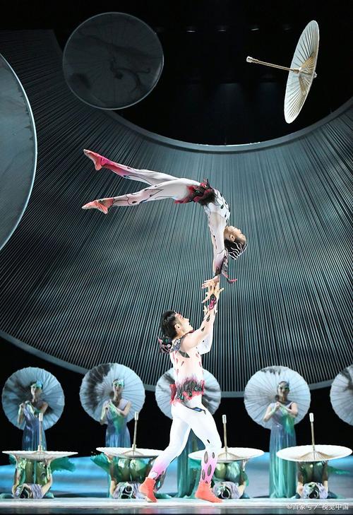 2005新澳正版免费大全和杂技演员表演中摔落与杂技演员表演中摔落的是谁