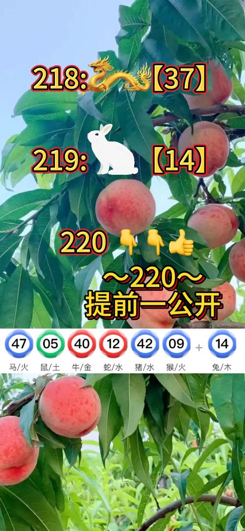 第175页