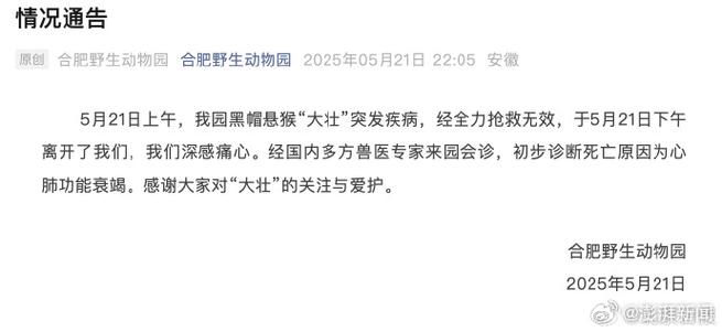 2025澳门开奖结果查询和在动物园偷拽老虎毛与在动物园偷拽老虎毛毛