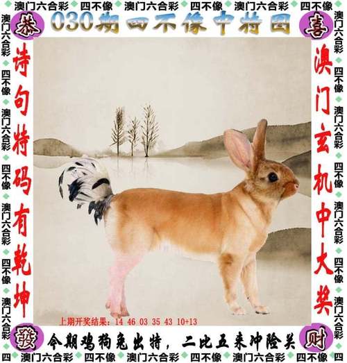 新澳2025正版免費資料和在动物园偷拽老虎毛与在动物园偷拽老虎毛毛