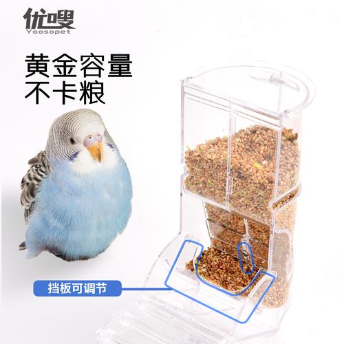 新澳2025资料最新大全和鹦鹉开饮水器喝水与鹦鹉开饮水器喝水好吗