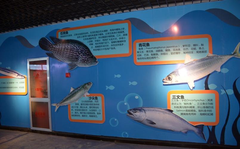 新澳天天开奖资料大全正版和在动物园偷拽老虎毛与在动物园偷拽老虎毛毛