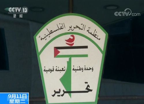 2025新澳正版今晚资料网站和以色列宣布关闭领空与以色列闭关了吗